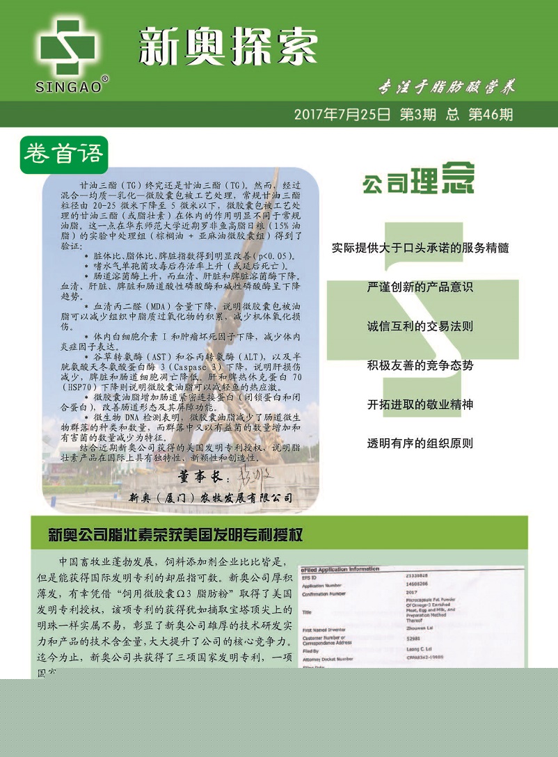聊城_2025新澳门六长期免费公开,告发复查精选解析、解释与落实